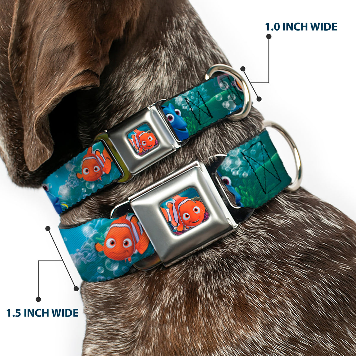 Nemo Smiling Full Color Seatbelt Buckle Collar - Nemo & Dory Poses Dog Collars Seatbelt Buckle Disney