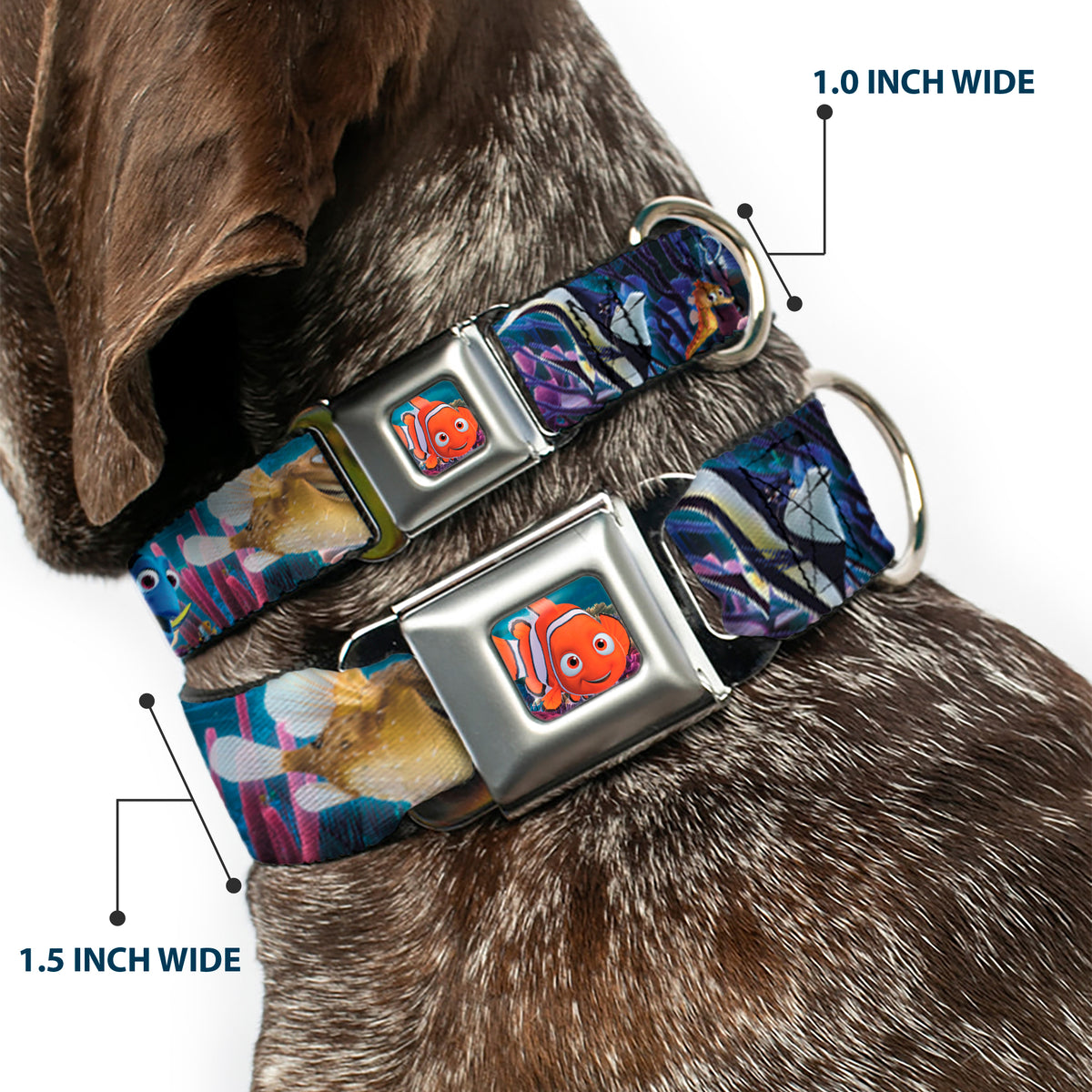 Nemo Smiling Full Color Seatbelt Buckle Collar - Nemo & Friends Group Dog Collars Seatbelt Buckle Disney
