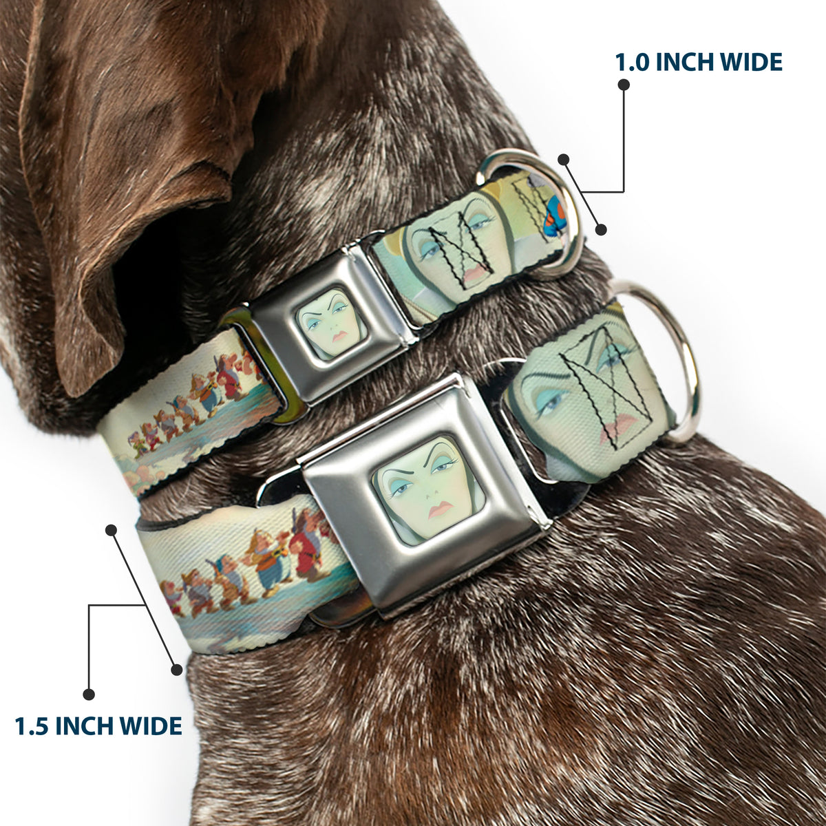 Evil Queen Face CLOSE-UP Full Color Seatbelt Buckle Collar - Snow White/Dwarves/Old Witch/Evil Queen Scenes Dog Collars Seatbelt Buckle Disney