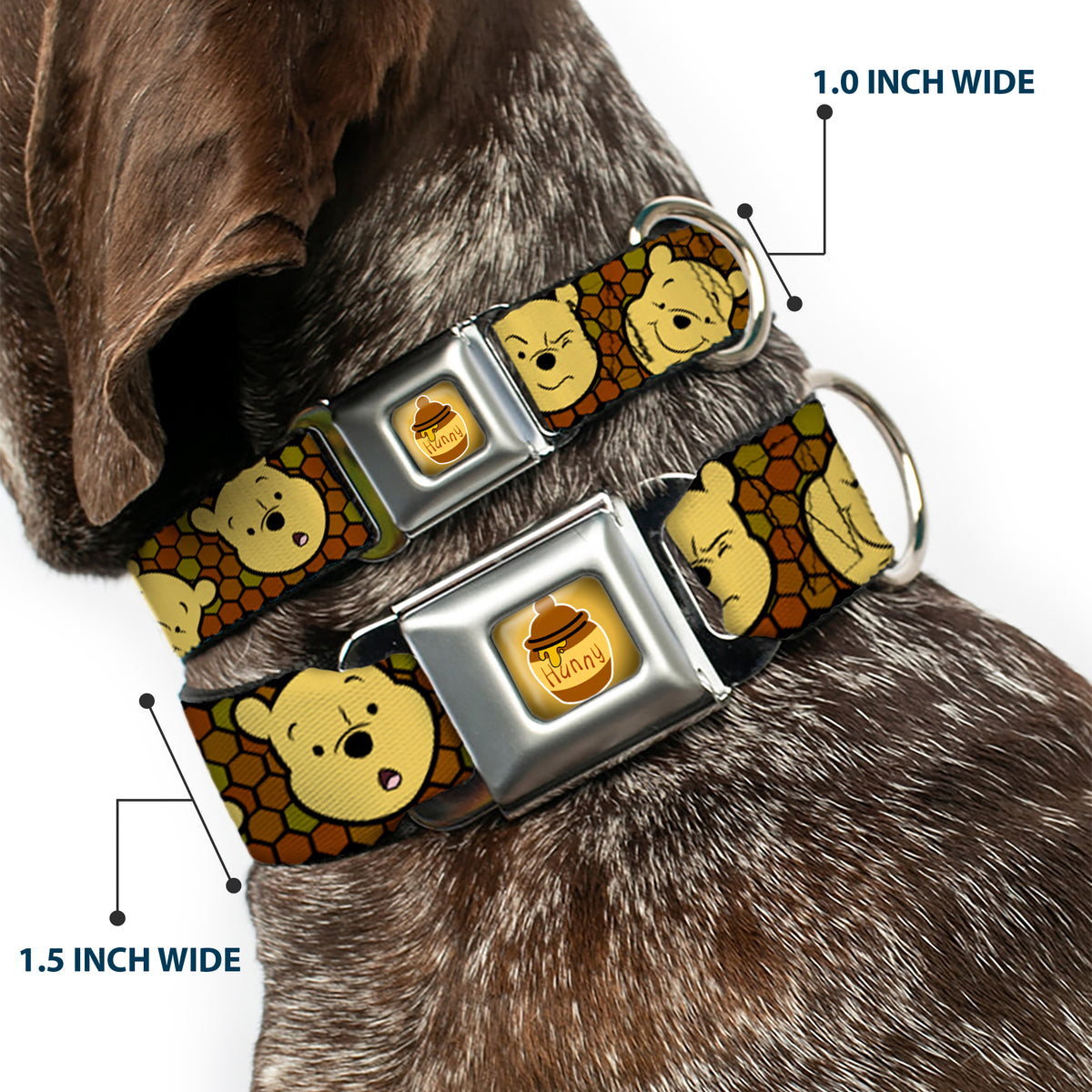 HUNNY Pot Full Color Black/Browns Seatbelt Buckle Collar - Winnie the Pooh Expressions/Honeycomb Black/Browns Dog Collars Seatbelt Buckle Disney