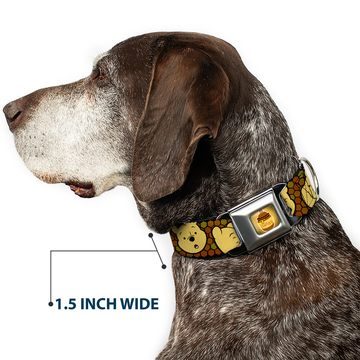 HUNNY Pot Full Color Black/Browns Seatbelt Buckle Collar - Winnie the Pooh Expressions/Honeycomb Black/Browns Dog Collars Seatbelt Buckle Disney