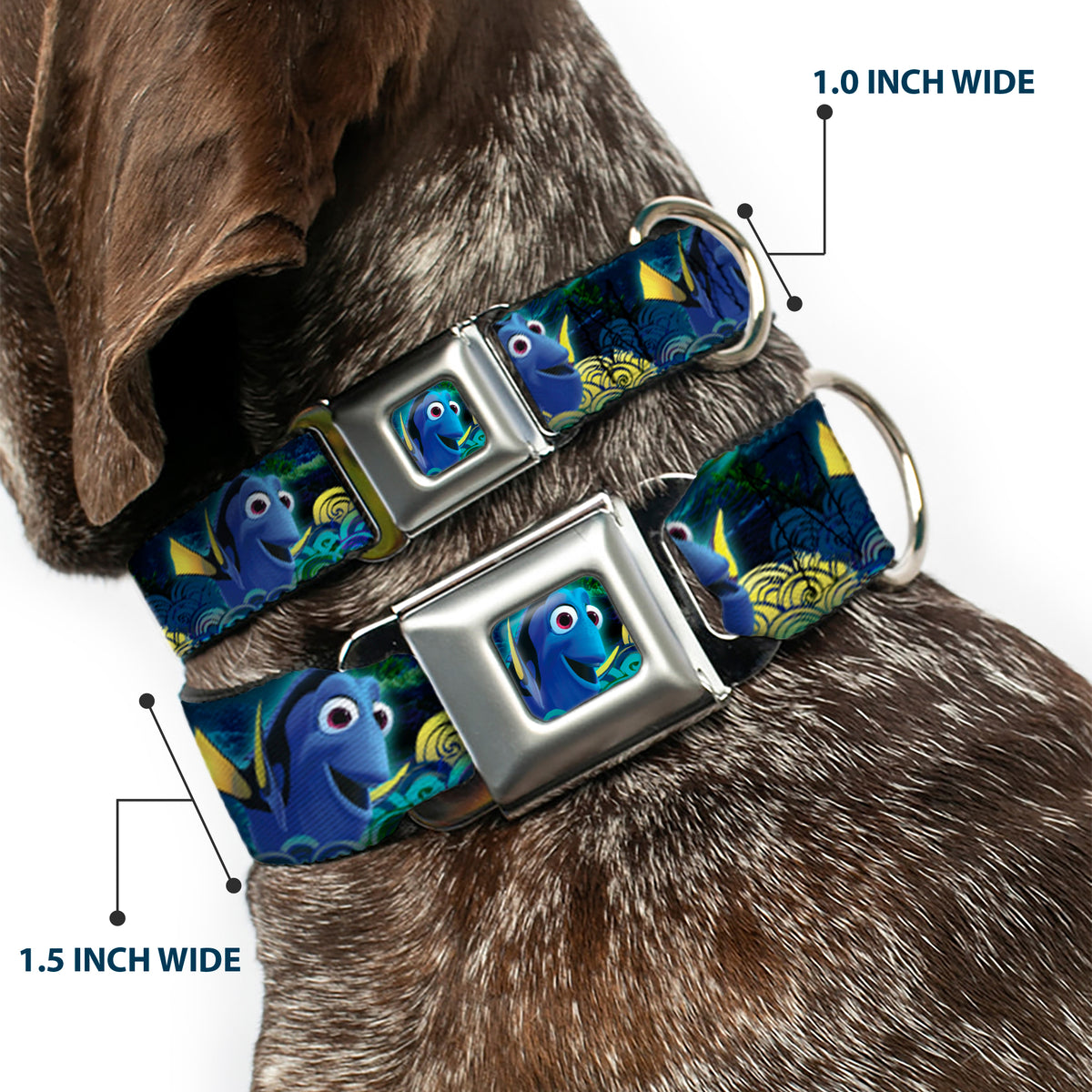 Dory Pose2/Swirls Full Color Blues/Yellows Seatbelt Buckle Collar - Dory Poses/Swirls Blues/Yellows Dog Collars Seatbelt Buckle Disney