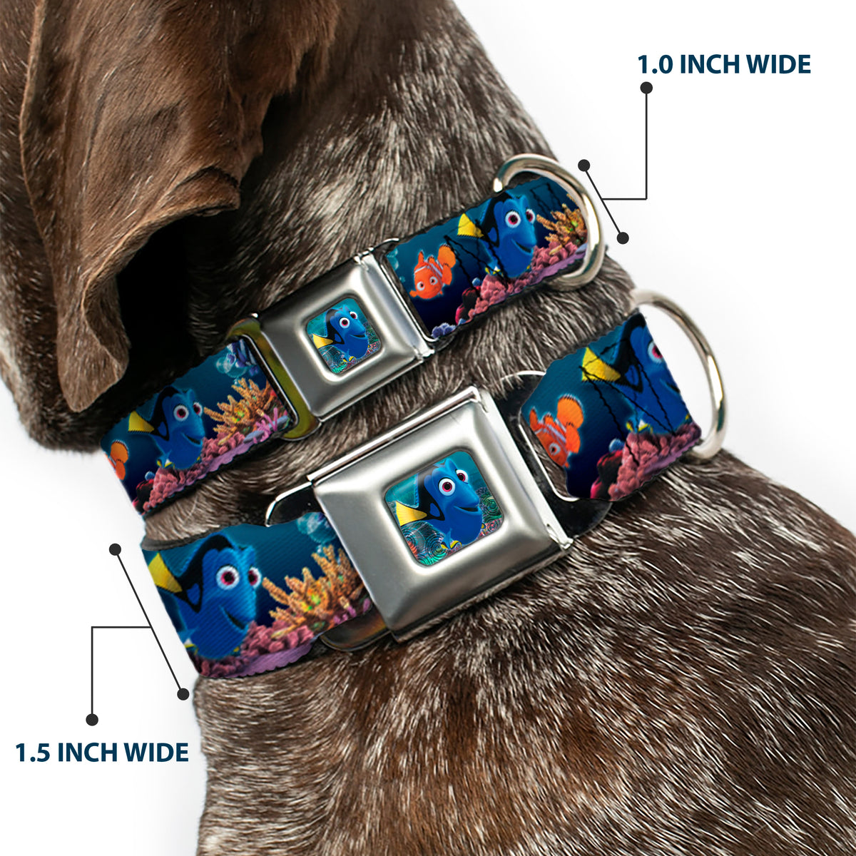 Dory Pose Full Color Seatbelt Buckle Collar - Dory Poses & Friends Under the Sea Dog Collars Seatbelt Buckle Disney