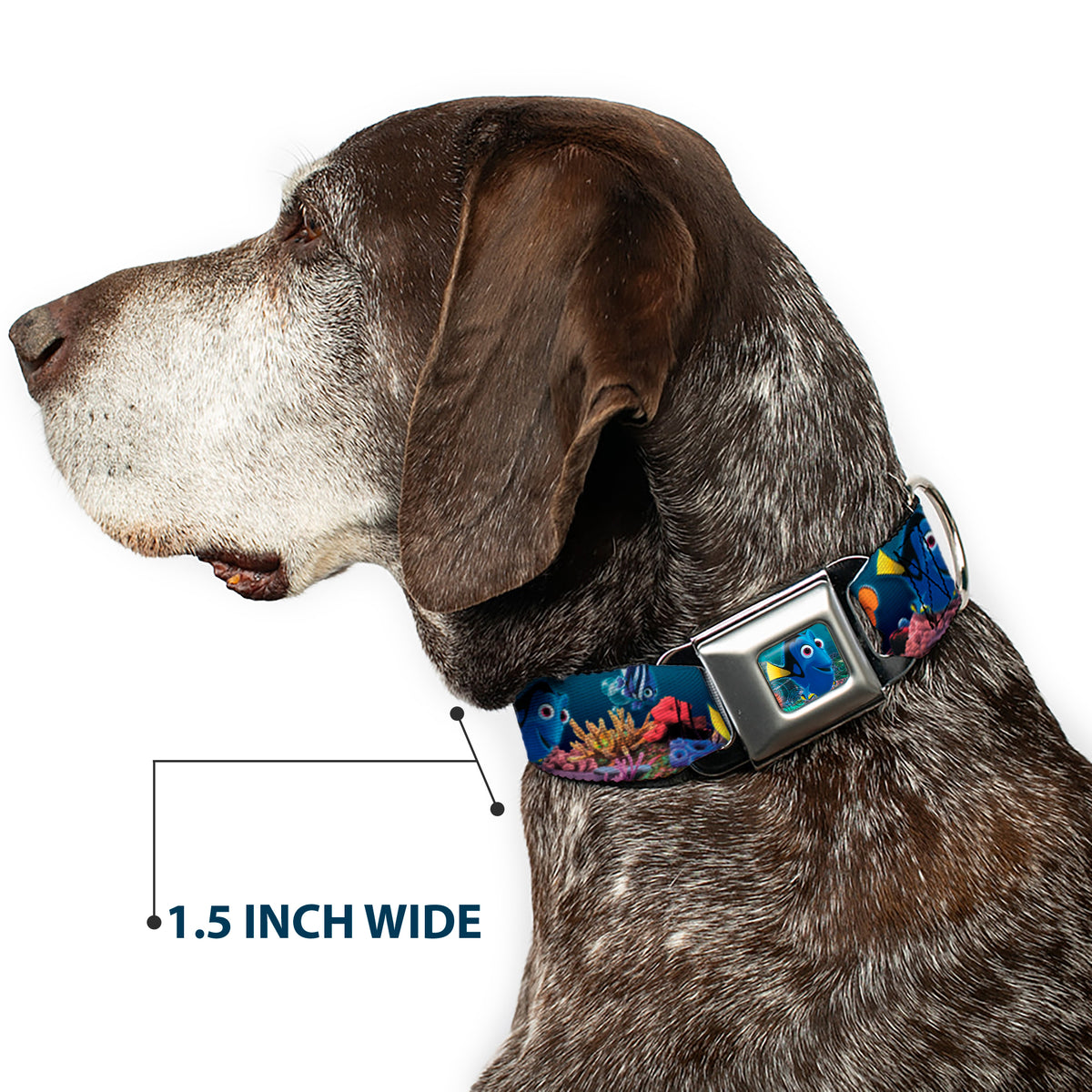 Dory Pose Full Color Seatbelt Buckle Collar - Dory Poses & Friends Under the Sea Dog Collars Seatbelt Buckle Disney