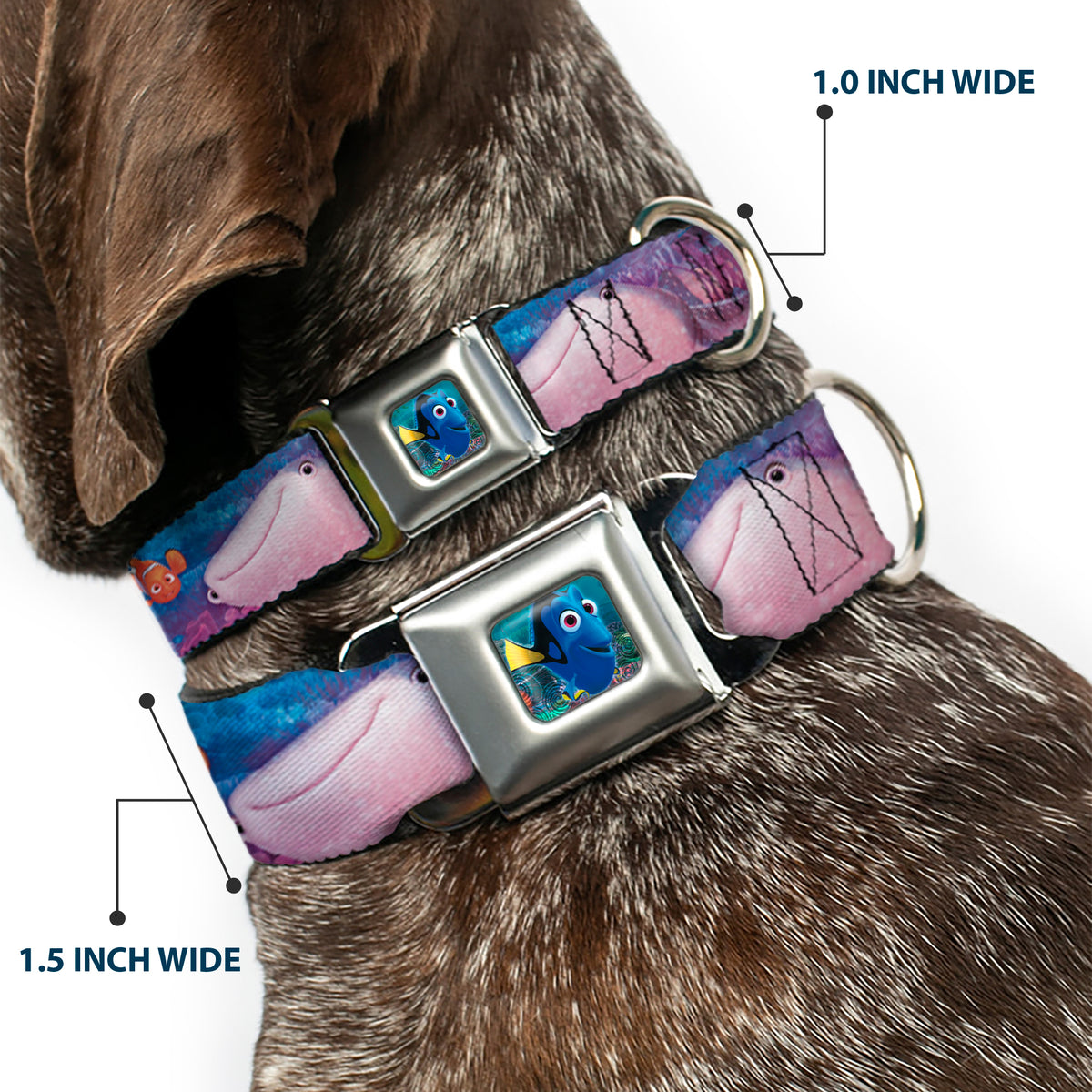 Dory Pose Seatbelt Buckle Collar - Dory & 5-Friends Under the Sea Dog Collars Seatbelt Buckle Disney
