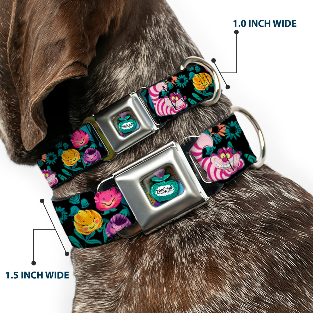 Alice in Wonderland DRINK ME Bottle Full Color Seatbelt Buckle Collar - Alice/Cheshire Cat/Flowers Poses Black/Multi Color Dog Collars Seatbelt Buckle Disney