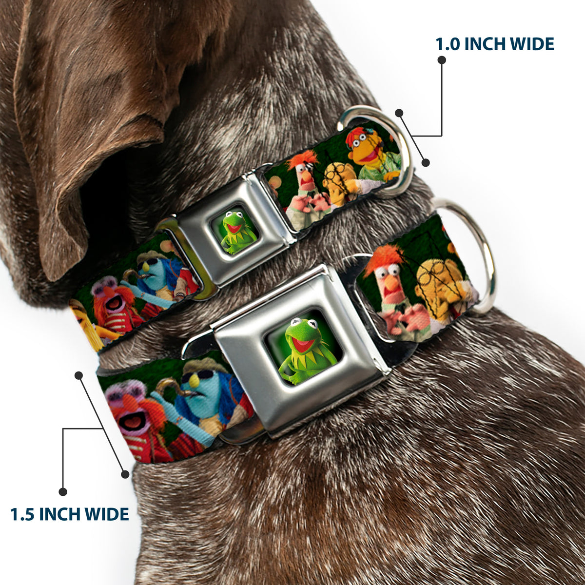Kermit the Frog Pose Full Color Green Glow Seatbelt Buckle Collar - Muppets 20-Character Group Pose Greens Dog Collars Seatbelt Buckle Disney