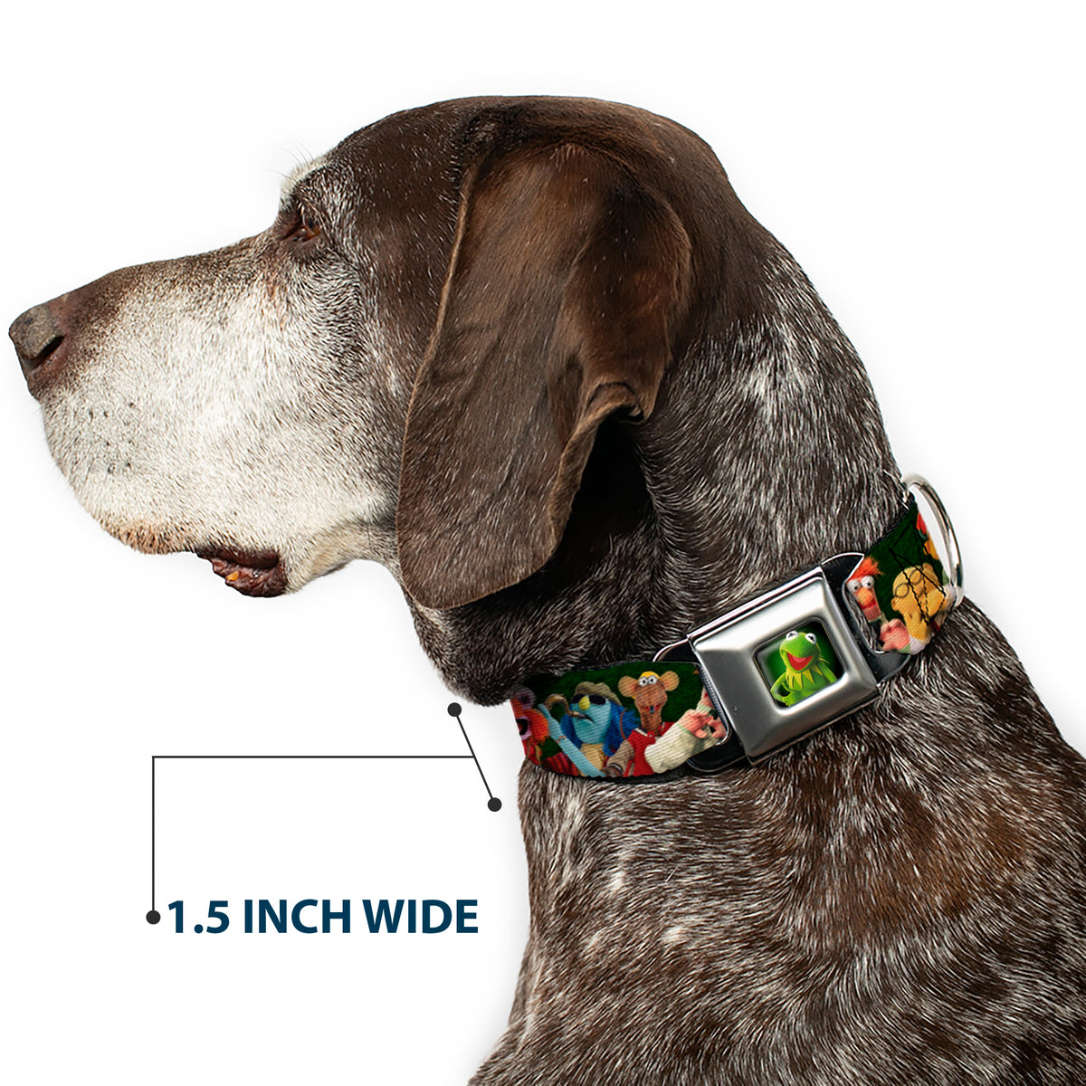 Kermit the Frog Pose Full Color Green Glow Seatbelt Buckle Collar - Muppets 20-Character Group Pose Greens Dog Collars Seatbelt Buckle Disney