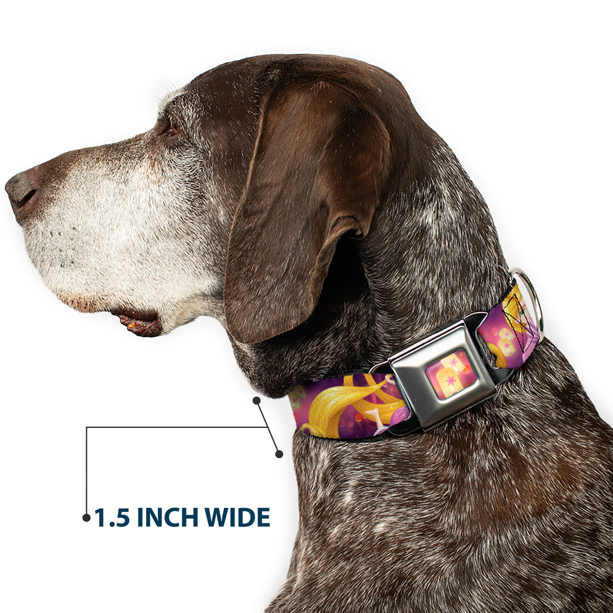 Tangled Lights Light Full Color Purple/Gold Seatbelt Buckle Collar - Rapunzel 4-Tangled Poses/Pascal/Lights Light Purples Dog Collars Seatbelt Buckle Disney