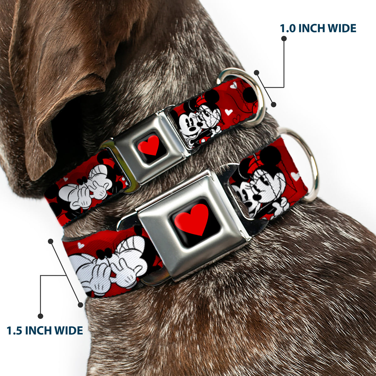 Heart Full Color Black/Red Seatbelt Buckle Collar - Mickey & Minnie HUGS & KISSES Poses Reds/White Dog Collars Seatbelt Buckle Disney