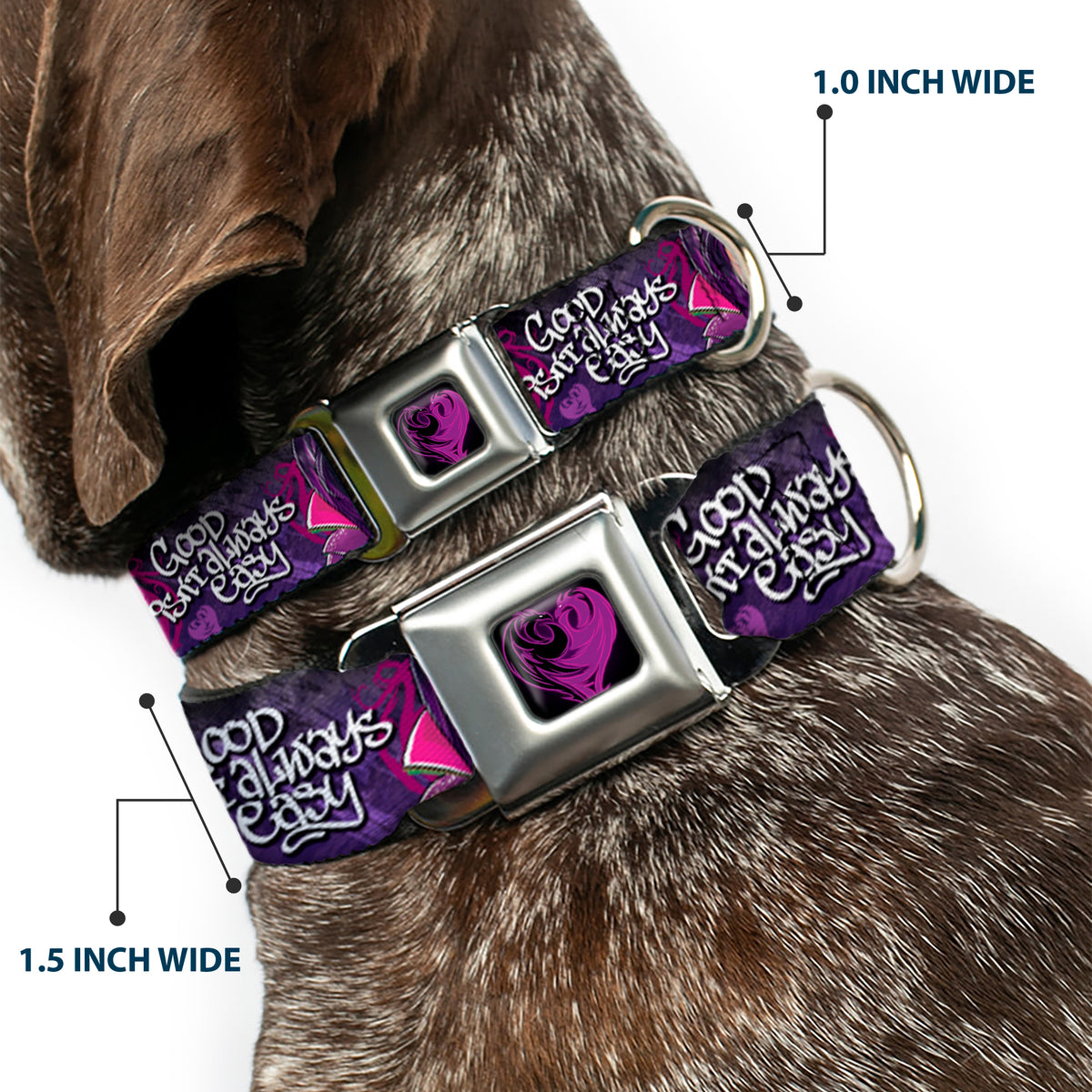 Descendants Dragon Heart Full Color Black/Purples Seatbelt Buckle Collar - Descendants Mal 3-Poses GOOD ISN'T ALWAYS/Hearts/Dragons EASY Purples/Pinks Dog Collars Seatbelt Buckle Disney