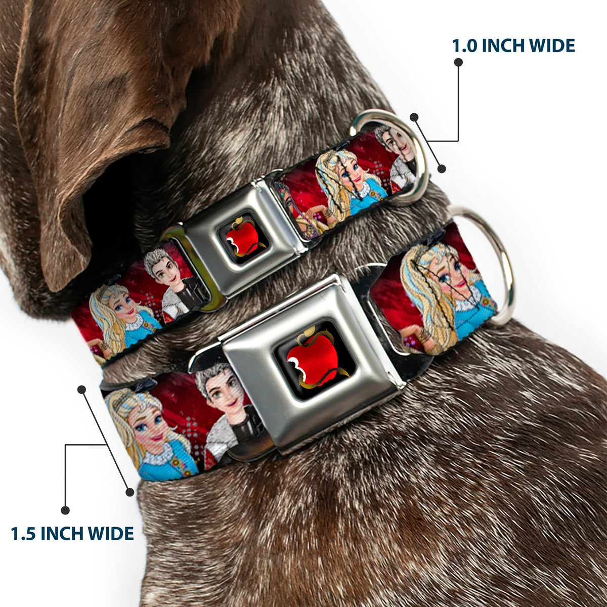 Descendants Apple Full Color Black/Red/Gold Seatbelt Buckle Collar - Descendants 11-Character Group Pose Reds/Gray Dog Collars Seatbelt Buckle Disney