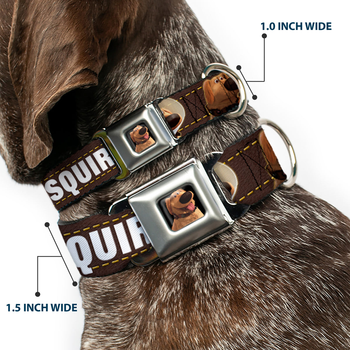 Dug Tongue Out Pose Full Color Black Seatbelt Buckle Collar - Dug 3-Poses/SQUIRREL! Brown/Yellow/White Dog Collars Seatbelt Buckle Disney