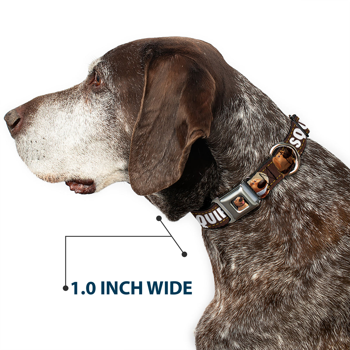 Dug Tongue Out Pose Full Color Black Seatbelt Buckle Collar - Dug 3-Poses/SQUIRREL! Brown/Yellow/White Dog Collars Seatbelt Buckle Disney