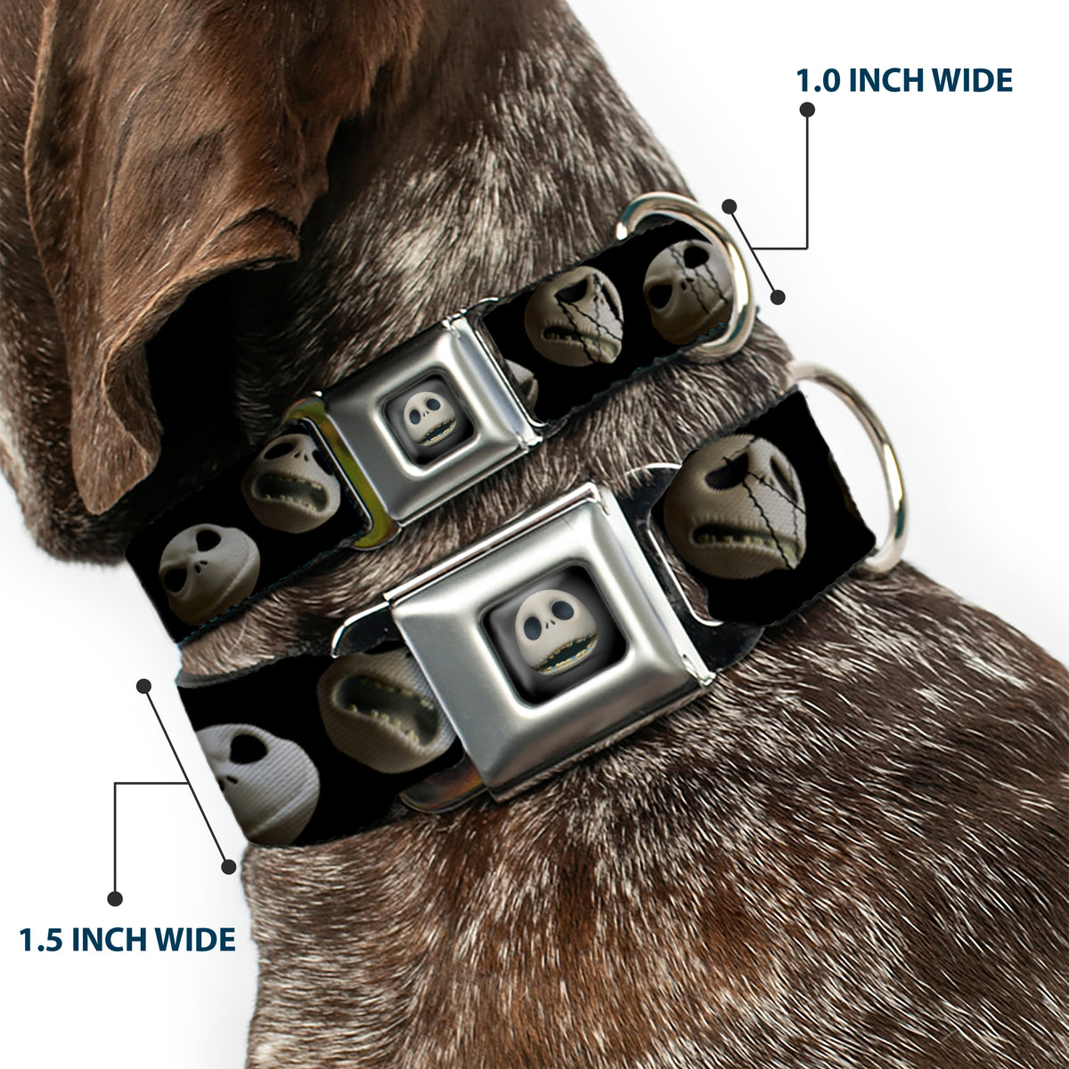 Jack Expression12 Full Color Seatbelt Buckle Collar - Jack 10-Expressions Staggered Black Dog Collars Seatbelt Buckle Disney