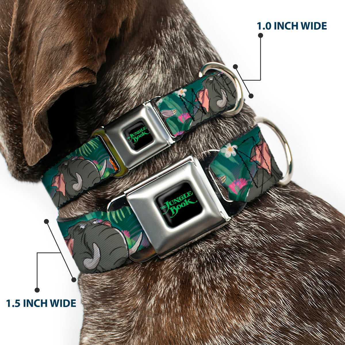 THE JUNGLE BOOK Full Color Black/Green Seatbelt Buckle Collar - The Jungle Book 8-Character Group Greens Dog Collars Seatbelt Buckle Disney