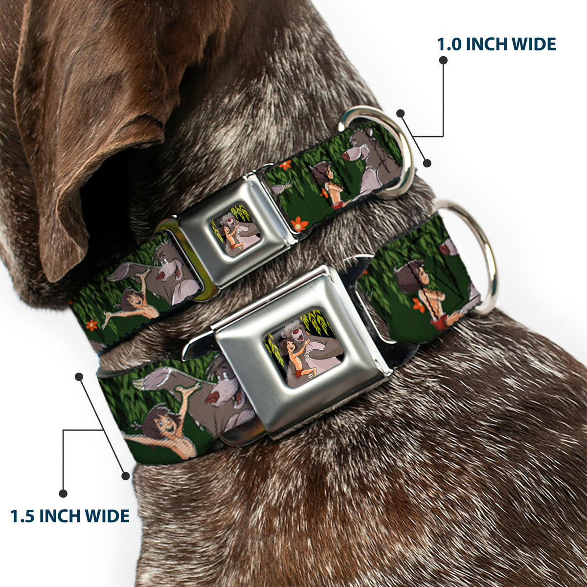 Mowgli & Baloo Hugging/Leaves Full Color Black/Greens Seatbelt Buckle Collar - Mowgli & Baloo 3-Poses Leaves/Flowers Greens/Orange Dog Collars Seatbelt Buckle Disney