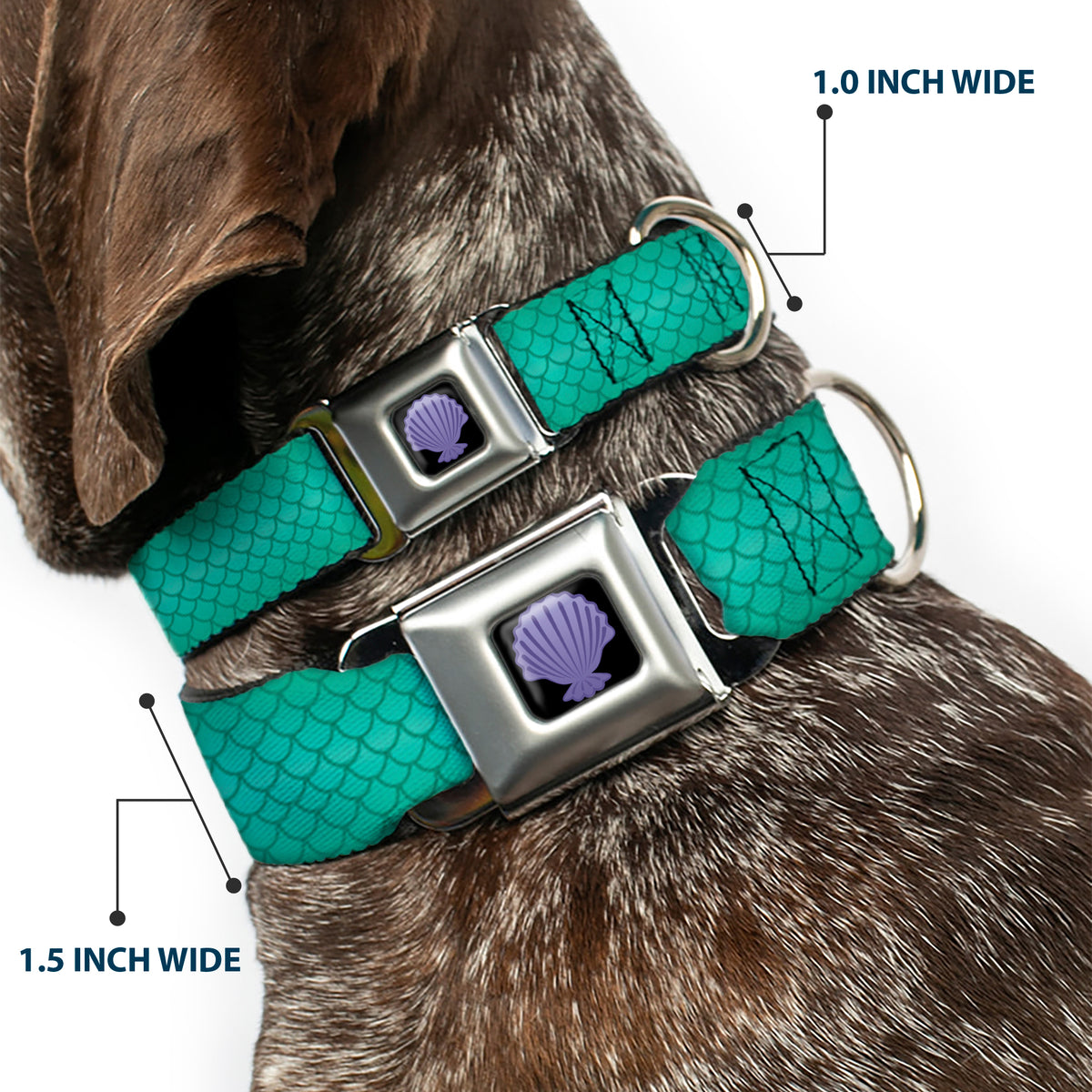 Little Mermaid Clam Shell Full Color Black/Purples Seatbelt Buckle Collar - Ariel's Scales Turquoise Blues Dog Collars Seatbelt Buckle Disney