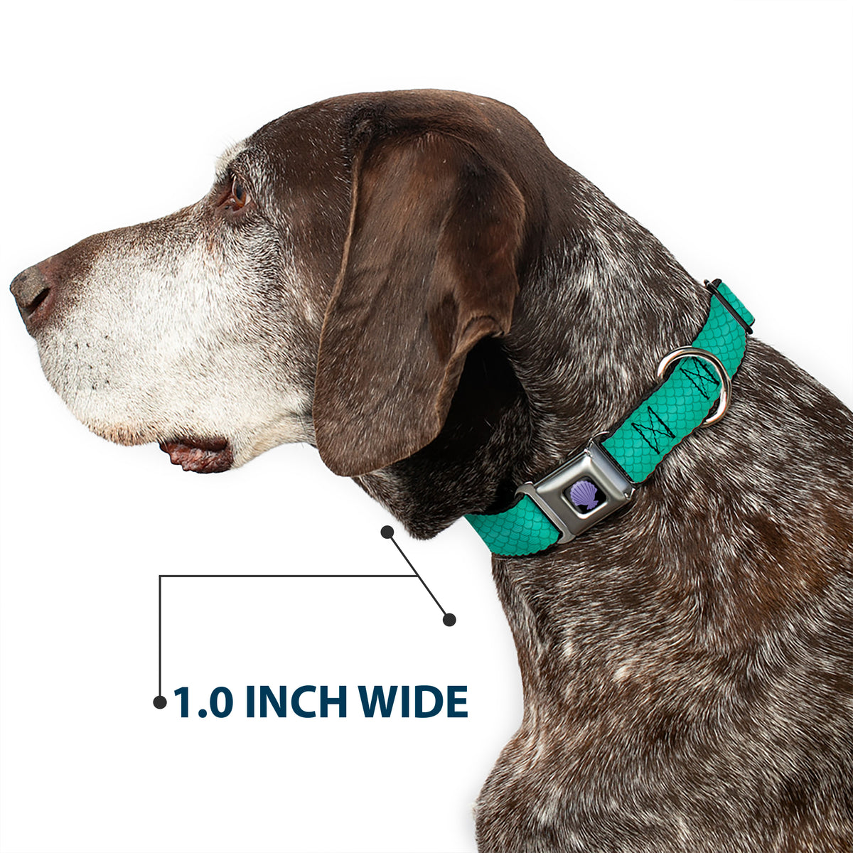 Little Mermaid Clam Shell Full Color Black/Purples Seatbelt Buckle Collar - Ariel's Scales Turquoise Blues Dog Collars Seatbelt Buckle Disney