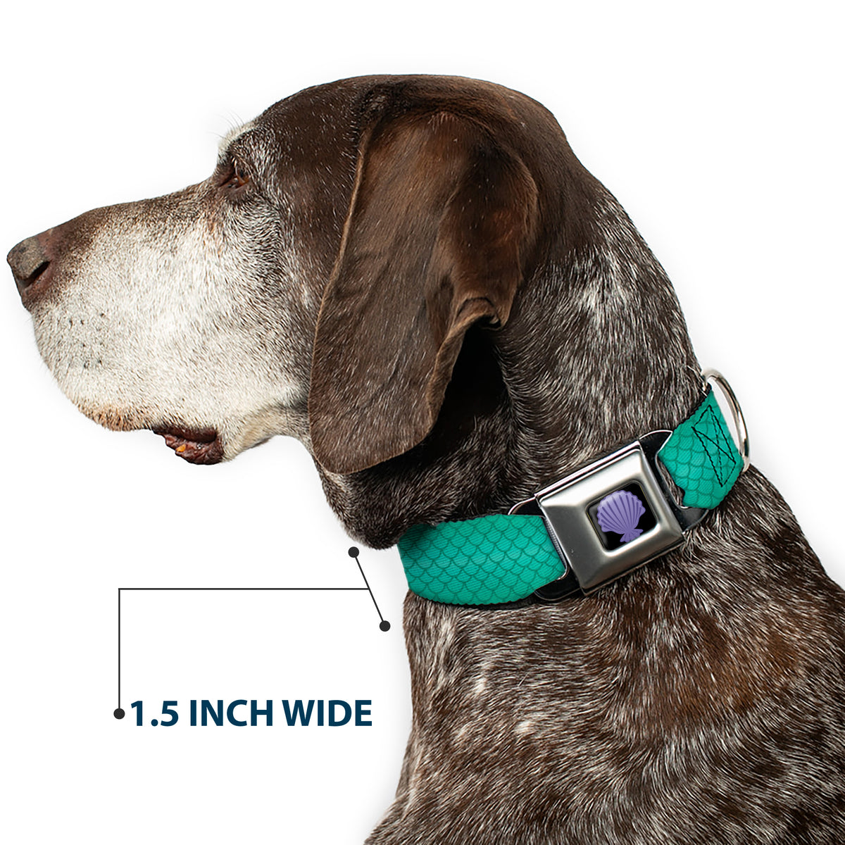 Little Mermaid Clam Shell Full Color Black/Purples Seatbelt Buckle Collar - Ariel's Scales Turquoise Blues Dog Collars Seatbelt Buckle Disney