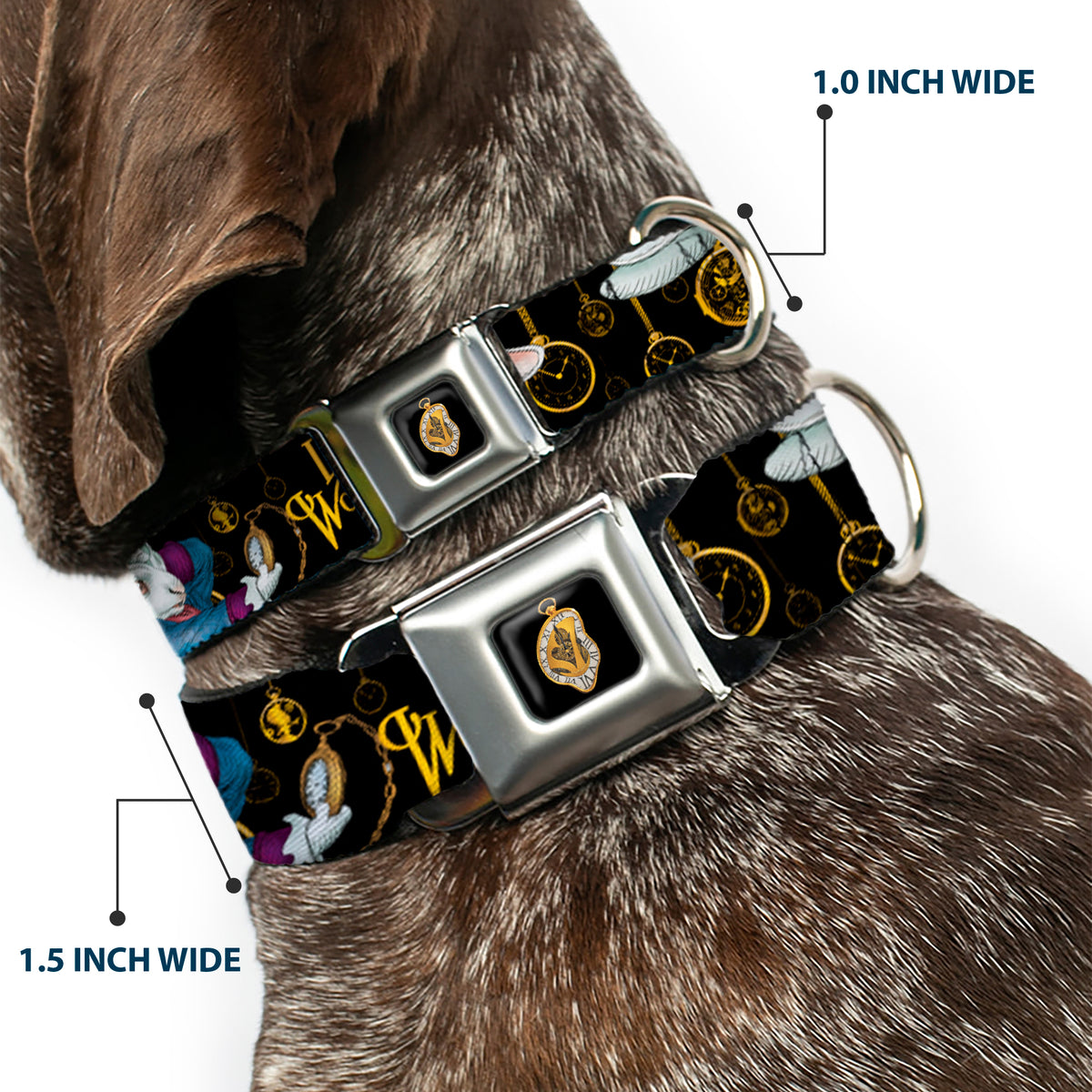Alice in Wonderland Clock Full Color Black/Gold/White Seatbelt Buckle Collar - White Rabbit Poses LOOKING FOR WONDERLAND/Clocks Black/Golds Dog Collars Seatbelt Buckle Disney