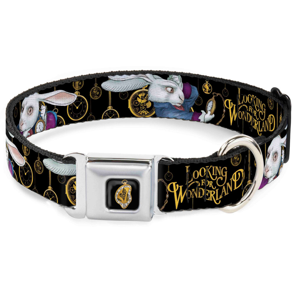 Alice in Wonderland Clock Full Color Black/Gold/White Seatbelt Buckle Collar - White Rabbit Poses LOOKING FOR WONDERLAND/Clocks Black/Golds Dog Collars Seatbelt Buckle Disney