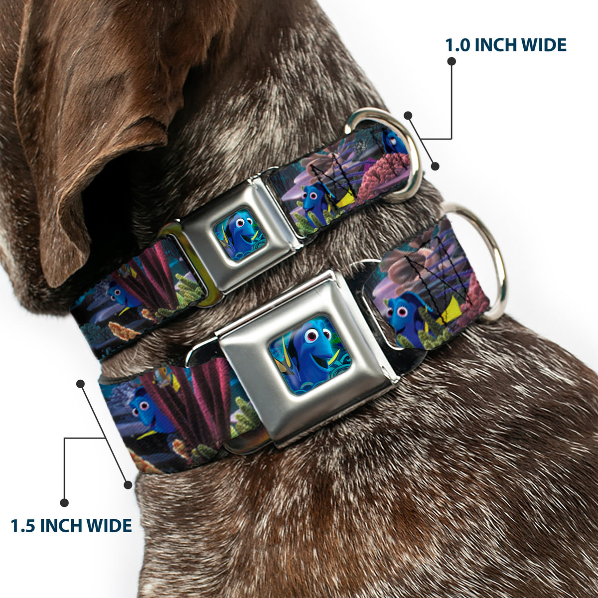 Dory Pose3/Swirls Full Color Blues Seatbelt Buckle Collar - Dory 4-Hiding Poses Under the Sea Dog Collars Seatbelt Buckle Disney