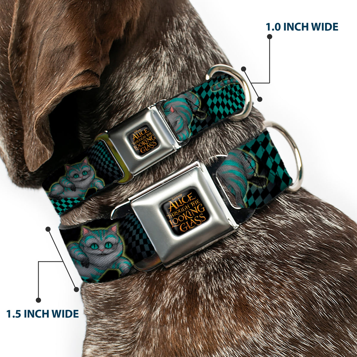 ALICE THROUGH THE LOOKING GLASS Logo Full Color Black/Gold Seatbelt Buckle Collar - Cheshire Cat 4-Poses Checkers Teal/Black Dog Collars Seatbelt Buckle Disney