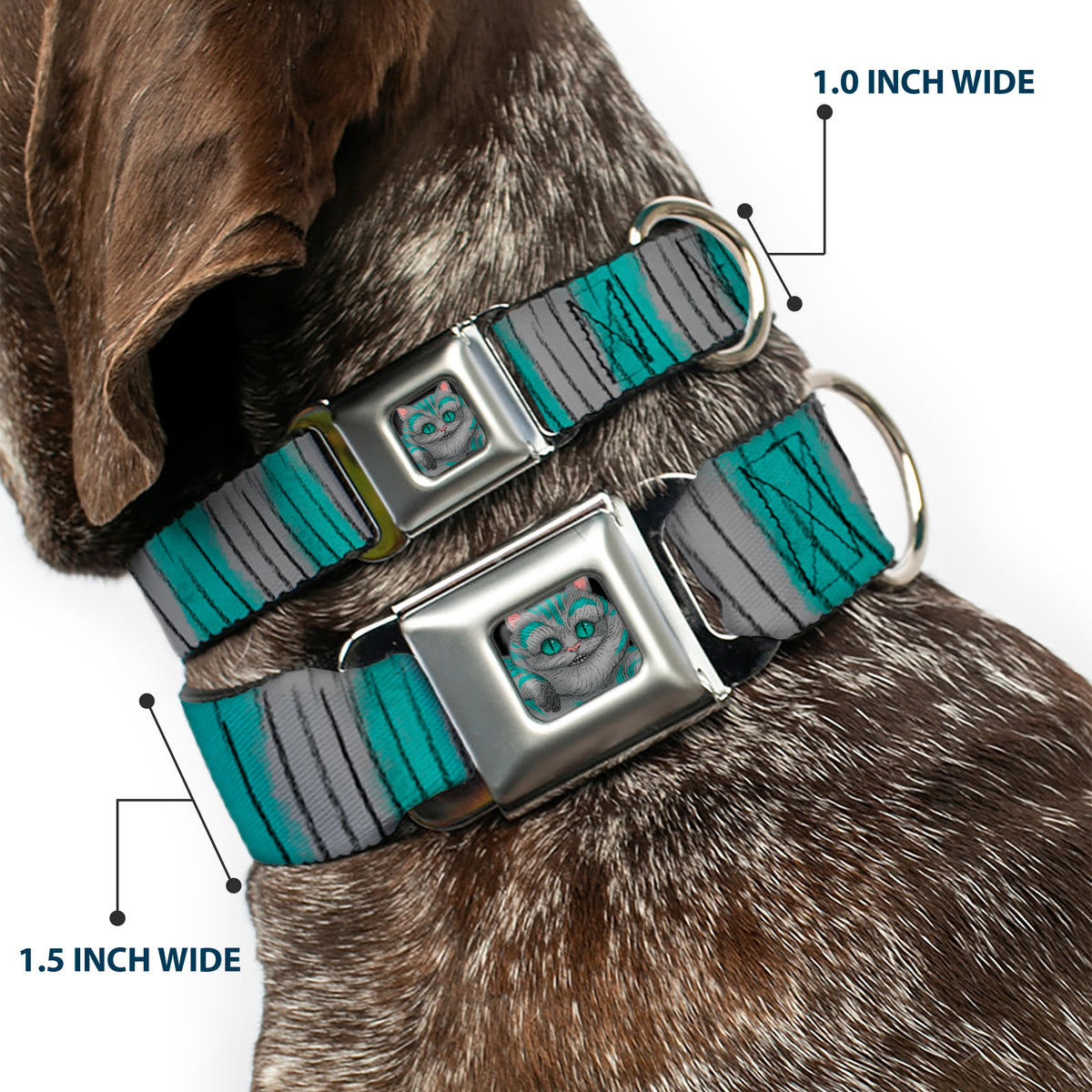 Alice Through the Looking Glass Cheshire Cat Pose Full Color Black Seatbelt Buckle Collar - Cheshire Cat Stripes Gray/Teal/Black Dog Collars Seatbelt Buckle Disney