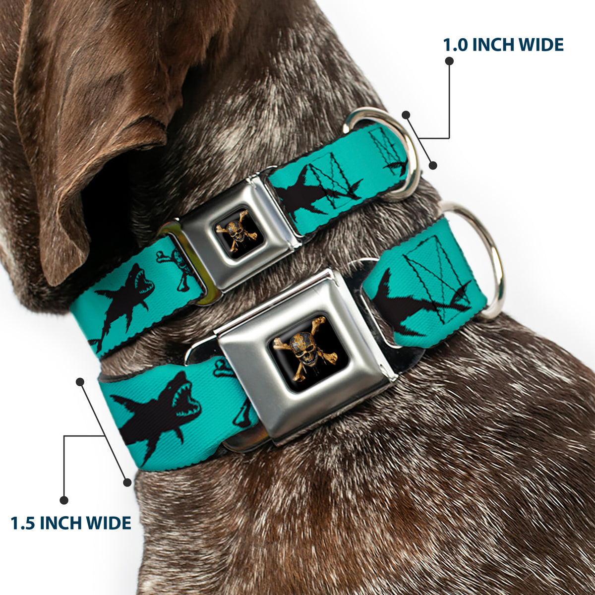 Pirates of The Caribbean Dead Men Tell No Tales Skull Icon Full Color Black Seatbelt Buckle Collar - Pirates Skull & Crossbones/Sharks Turquoise/Black Dog Collars Seatbelt Buckle Disney