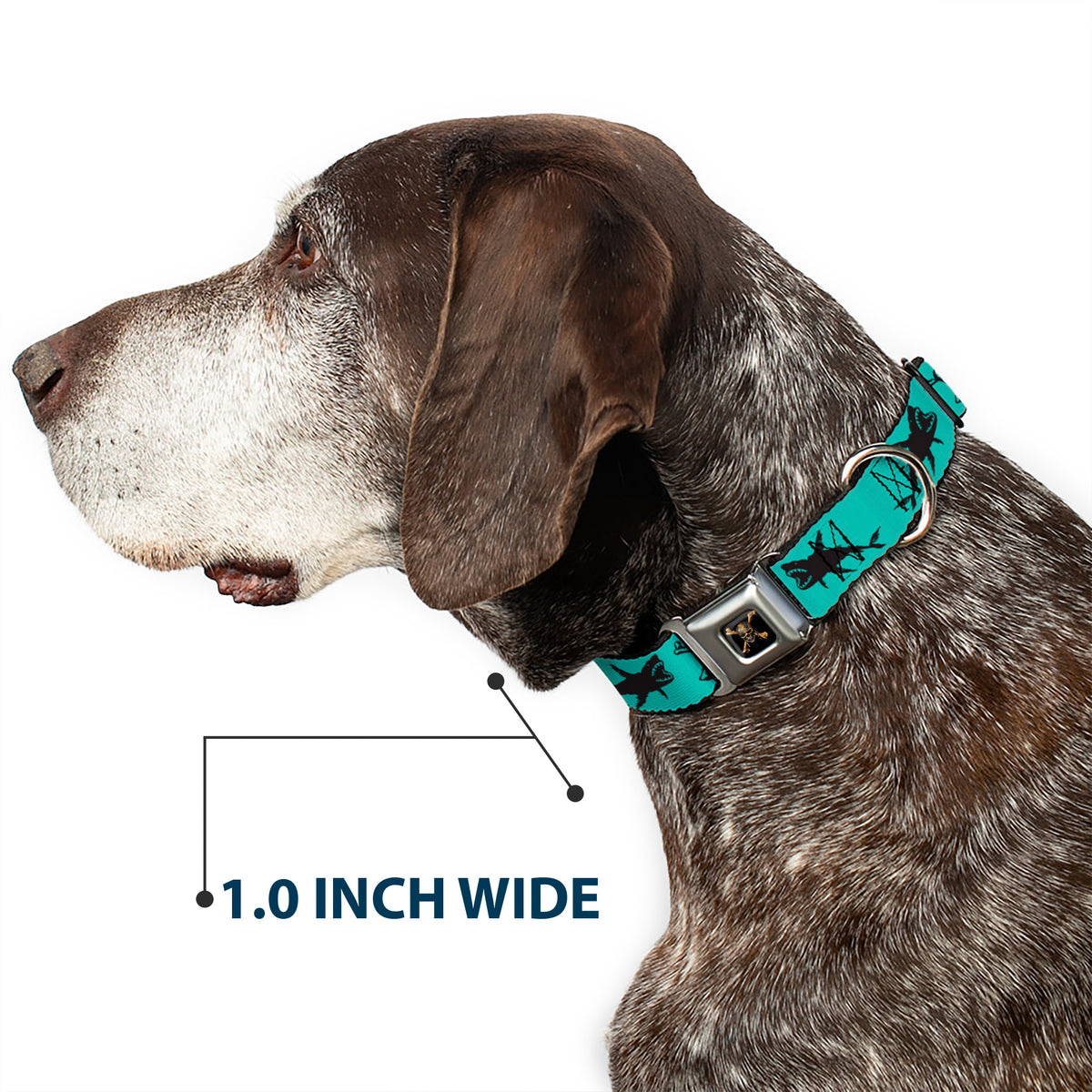 Pirates of The Caribbean Dead Men Tell No Tales Skull Icon Full Color Black Seatbelt Buckle Collar - Pirates Skull & Crossbones/Sharks Turquoise/Black Dog Collars Seatbelt Buckle Disney