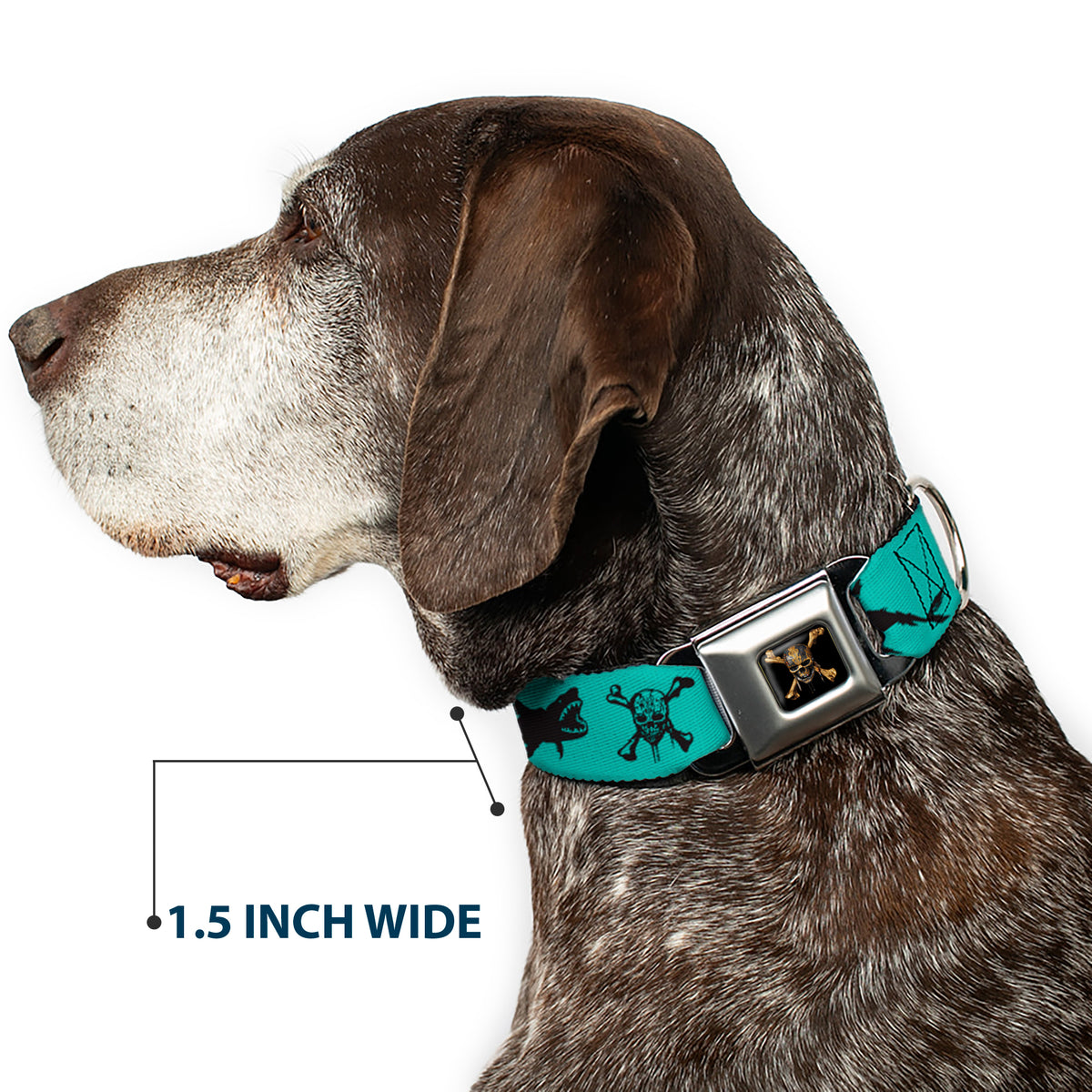 Pirates of The Caribbean Dead Men Tell No Tales Skull Icon Full Color Black Seatbelt Buckle Collar - Pirates Skull & Crossbones/Sharks Turquoise/Black Dog Collars Seatbelt Buckle Disney