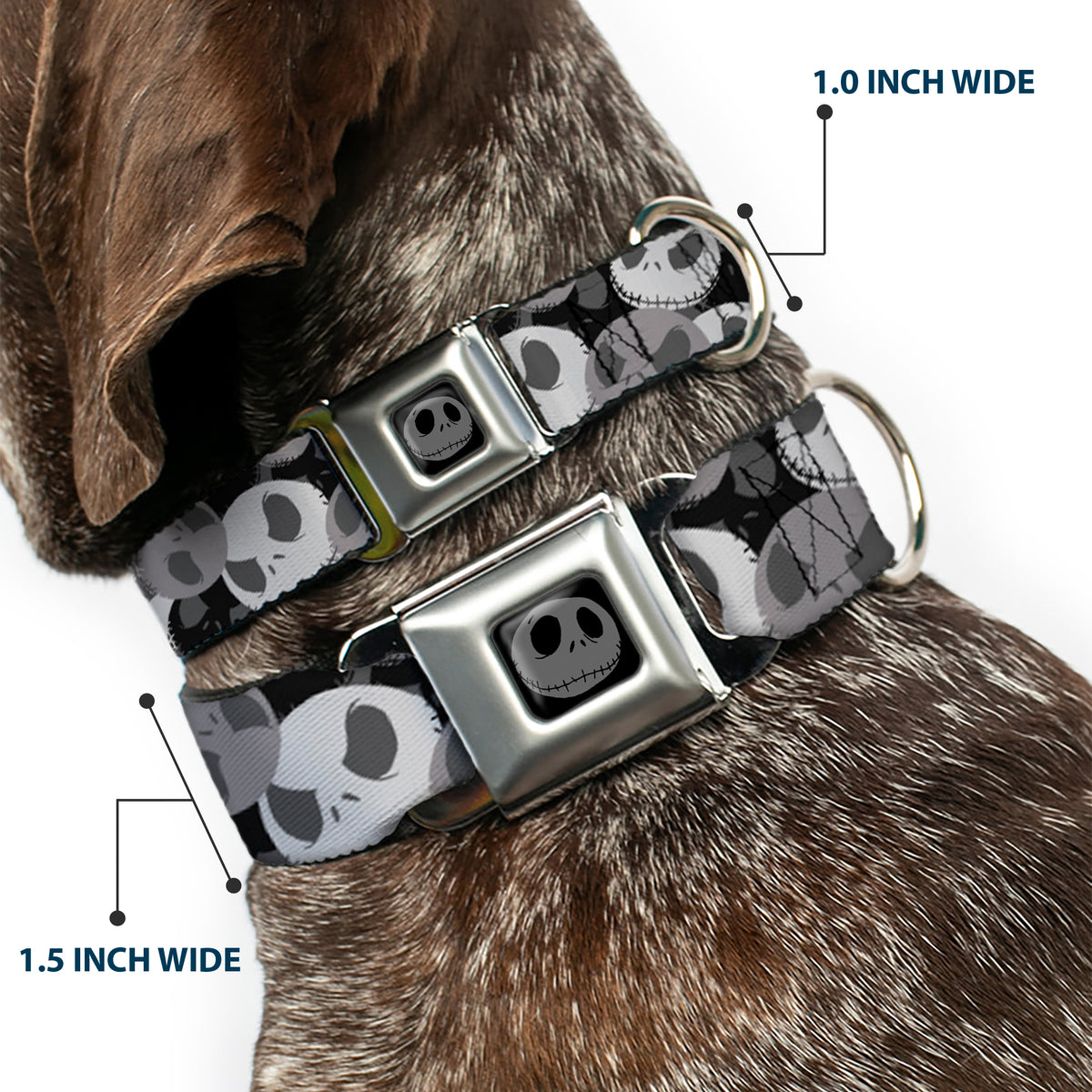 Jack Expression5 Black Silver Seatbelt Buckle Collar - Nightmare Before Christmas Jack Expression Stacked Black/Grays Dog Collars Seatbelt Buckle Disney