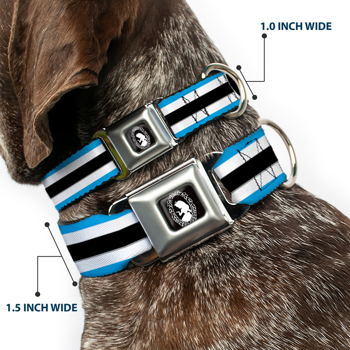 Alice Silhouette Cameo Pose Black White Seatbelt Buckle Collar - Alice in Wonderland Stripe/Bow Silhouette Blue/Black/White Dog Collars Seatbelt Buckle Disney