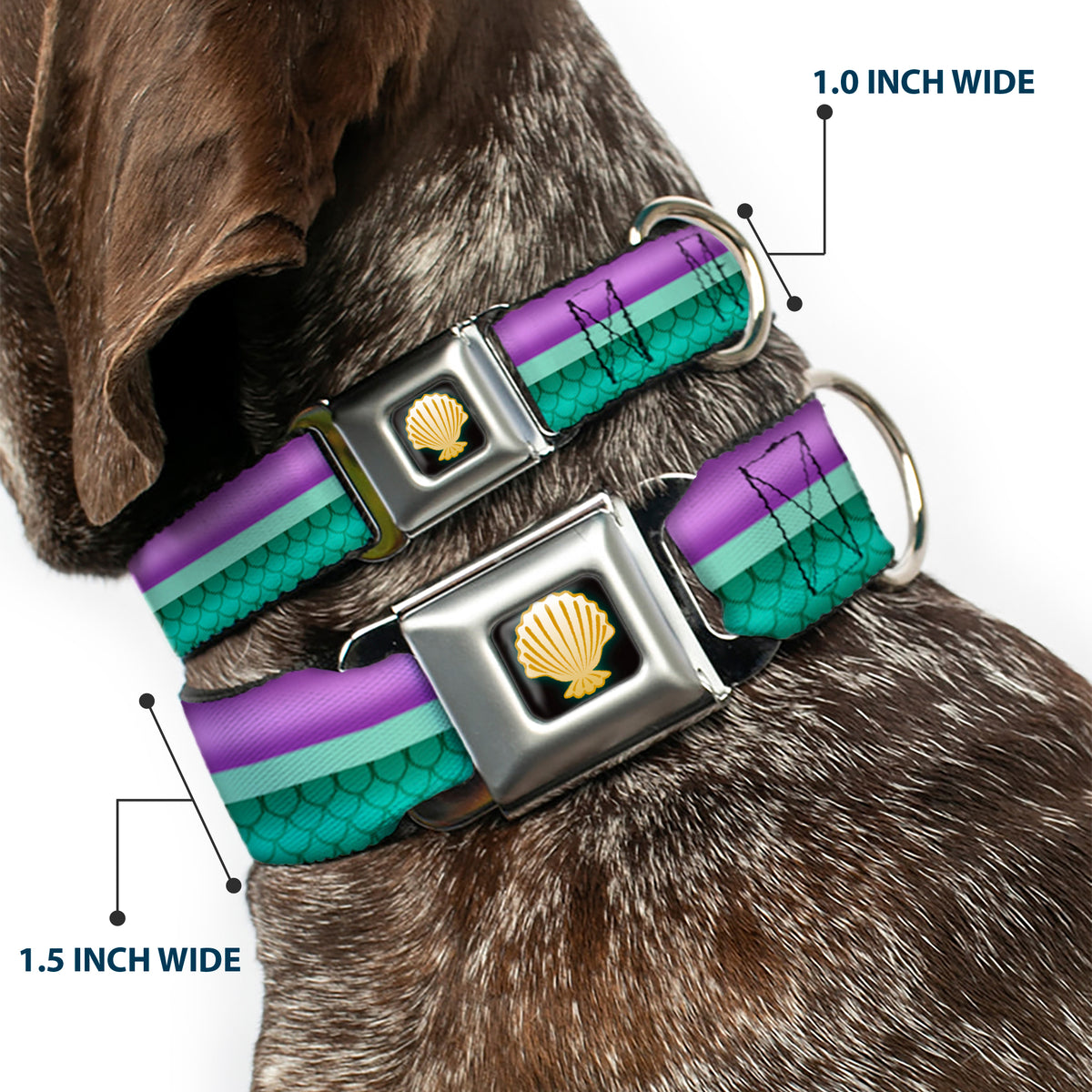 Little Mermaid Clam Shell Black Yellows Seatbelt Buckle Collar - Little Mermaid Stripe/Shell Purple/Green/Gold Dog Collars Seatbelt Buckle Disney