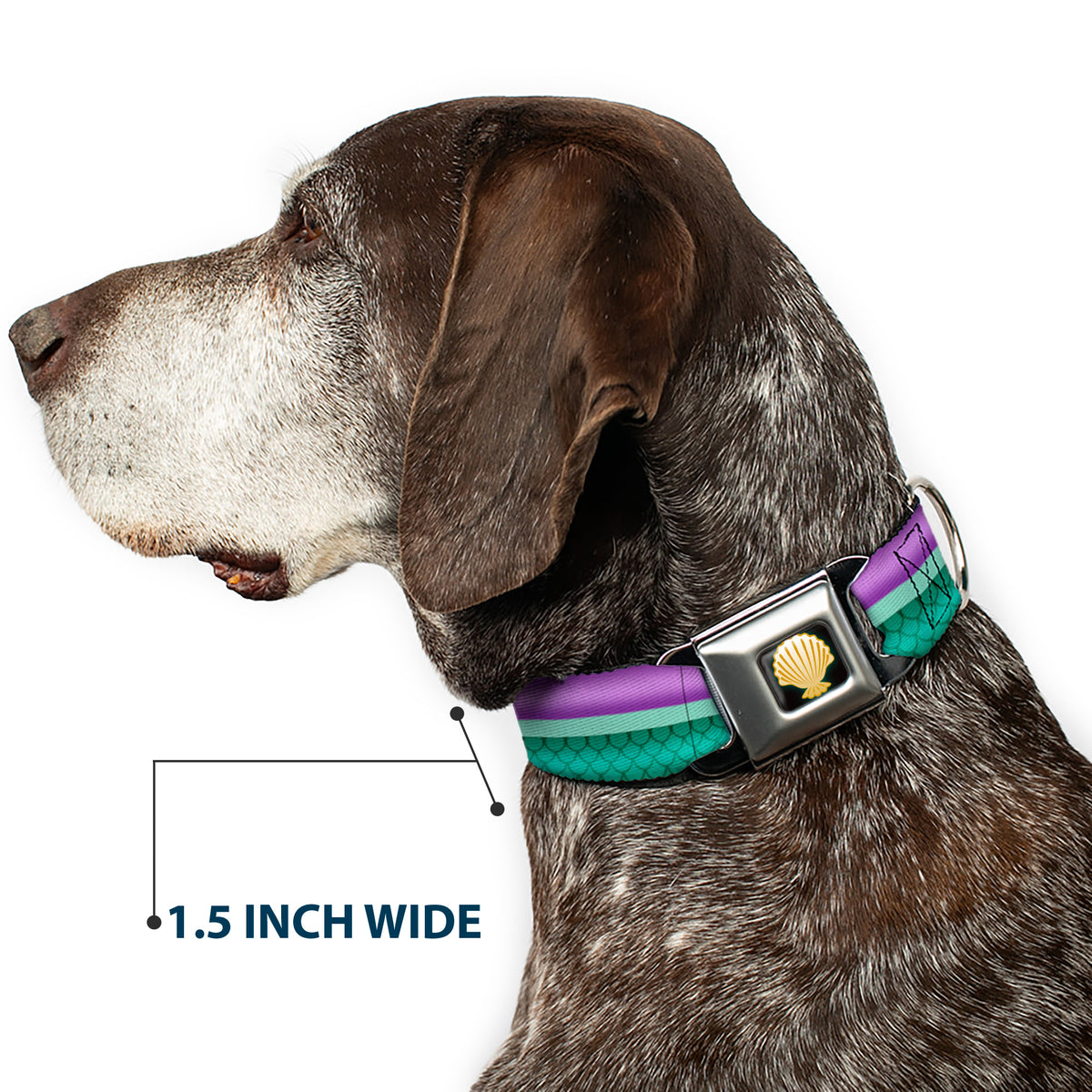 Little Mermaid Clam Shell Black Yellows Seatbelt Buckle Collar - Little Mermaid Stripe/Shell Purple/Green/Gold Dog Collars Seatbelt Buckle Disney