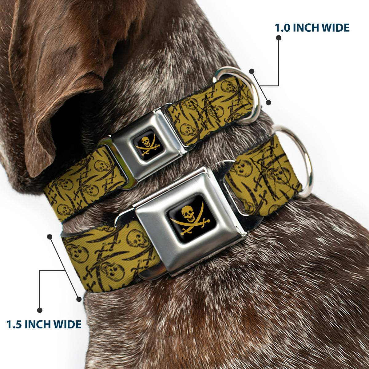 Skull & Crossed Swords Black Tan Seatbelt Buckle Collar - Pirates Skull & Crossed Swords Scattered Weathered Tan/Black Dog Collars Seatbelt Buckle Disney