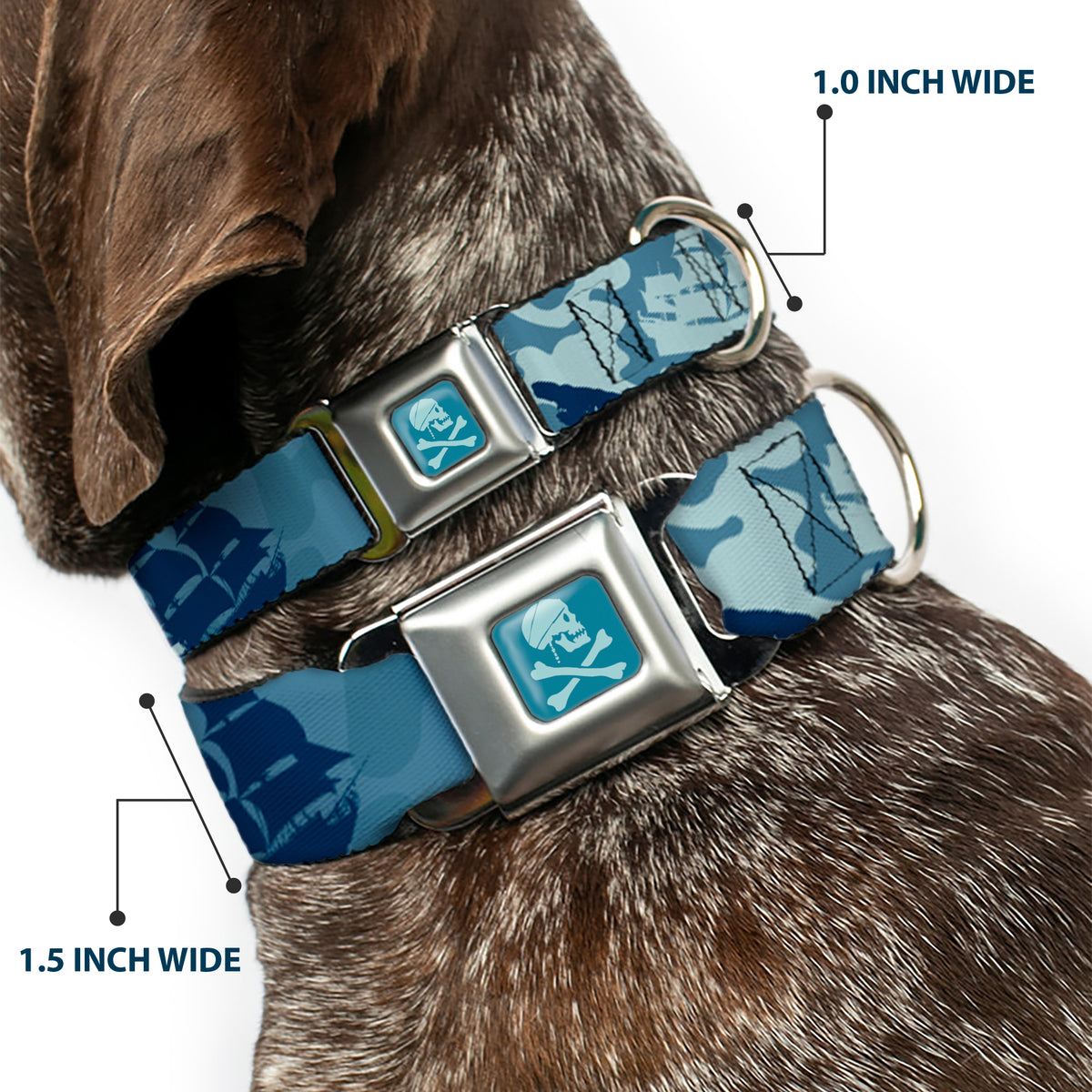Jack Sparrow's Flag Skull Icon Blues Seatbelt Buckle Collar - Jack Sparrow's Flag Icons/Black Pearl/Sharks Blues Dog Collars Seatbelt Buckle Disney