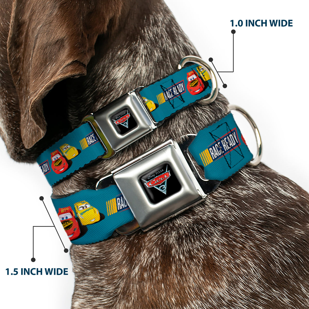 Cars 3 Piston Cup Champion Icon Full Color Red Black White Seatbelt Buckle Collar - Cars 3 Lightning McQueen/Cruz Ramirez Pose RACE READY Blue/Yellow/Red Dog Collars Seatbelt Buckle Disney