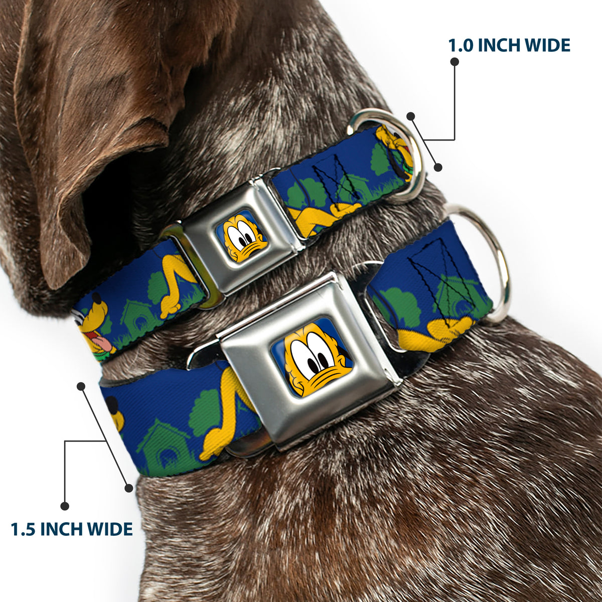 Pluto Face CLOSE-UP Blue Seatbelt Buckle Collar - Pluto 4-Poses/Landscape Blue/Green Dog Collars Seatbelt Buckle Disney