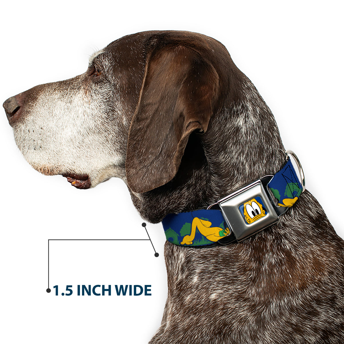 Pluto Face CLOSE-UP Blue Seatbelt Buckle Collar - Pluto 4-Poses/Landscape Blue/Green Dog Collars Seatbelt Buckle Disney
