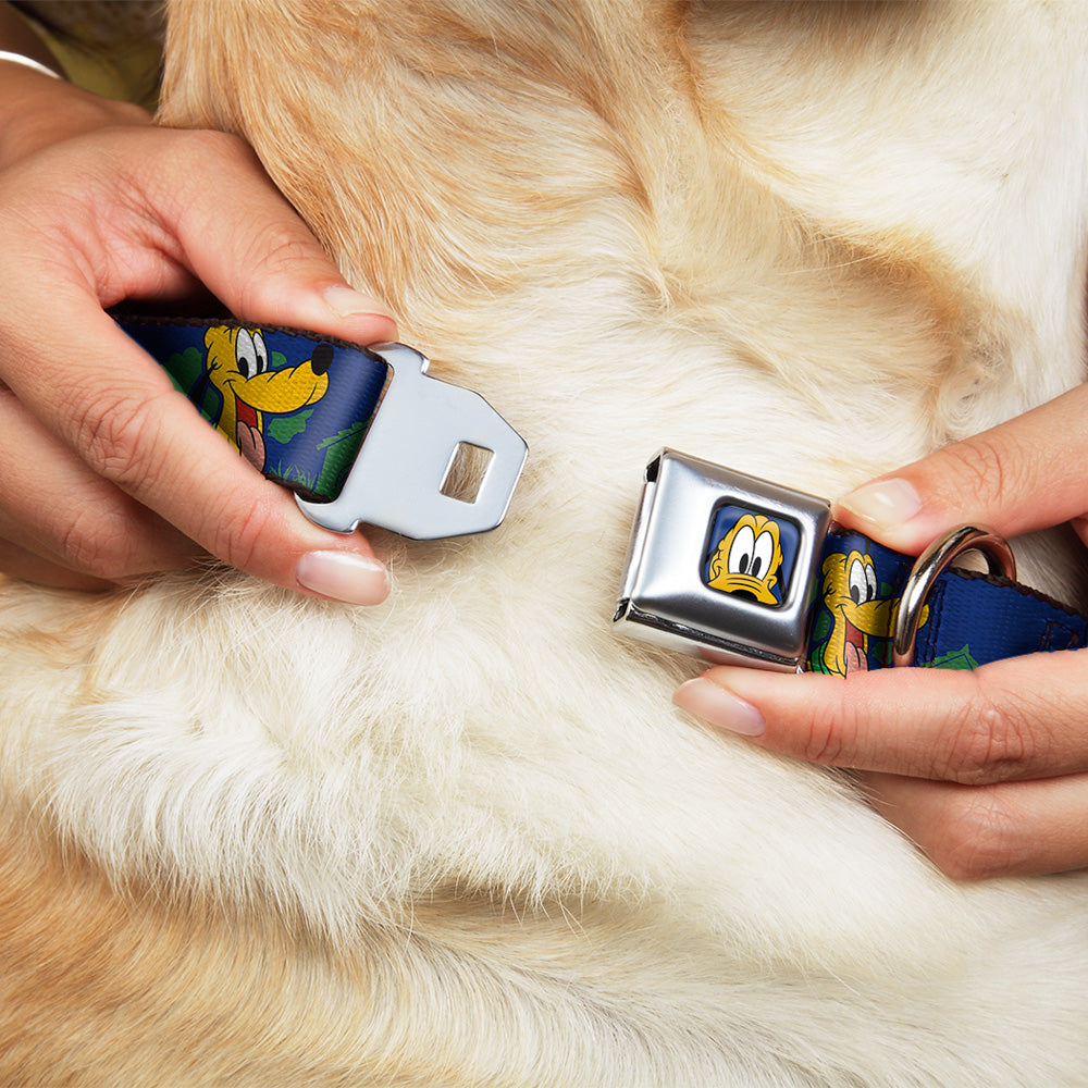 Pluto Face CLOSE-UP Blue Seatbelt Buckle Collar - Pluto 4-Poses/Landscape Blue/Green Dog Collars Seatbelt Buckle Disney