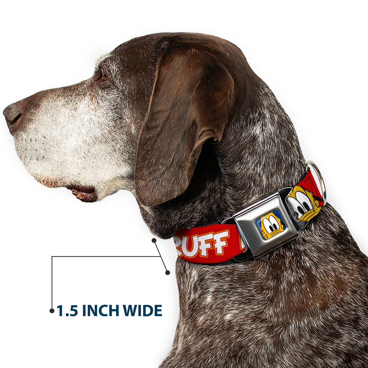 Pluto Face CLOSE-UP Full Color Blue Seatbelt Buckle Collar - Pluto 2-Pose IT'S A RUFF LIFE Red/Yellow/White Dog Collars Seatbelt Buckle Disney