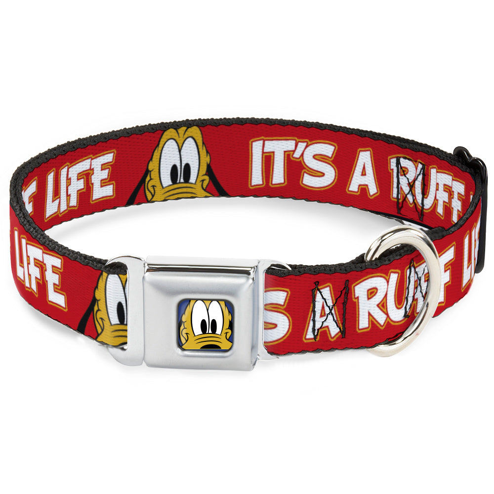 Pluto Face CLOSE-UP Full Color Blue Seatbelt Buckle Collar - Pluto 2-Pose IT'S A RUFF LIFE Red/Yellow/White Dog Collars Seatbelt Buckle Disney