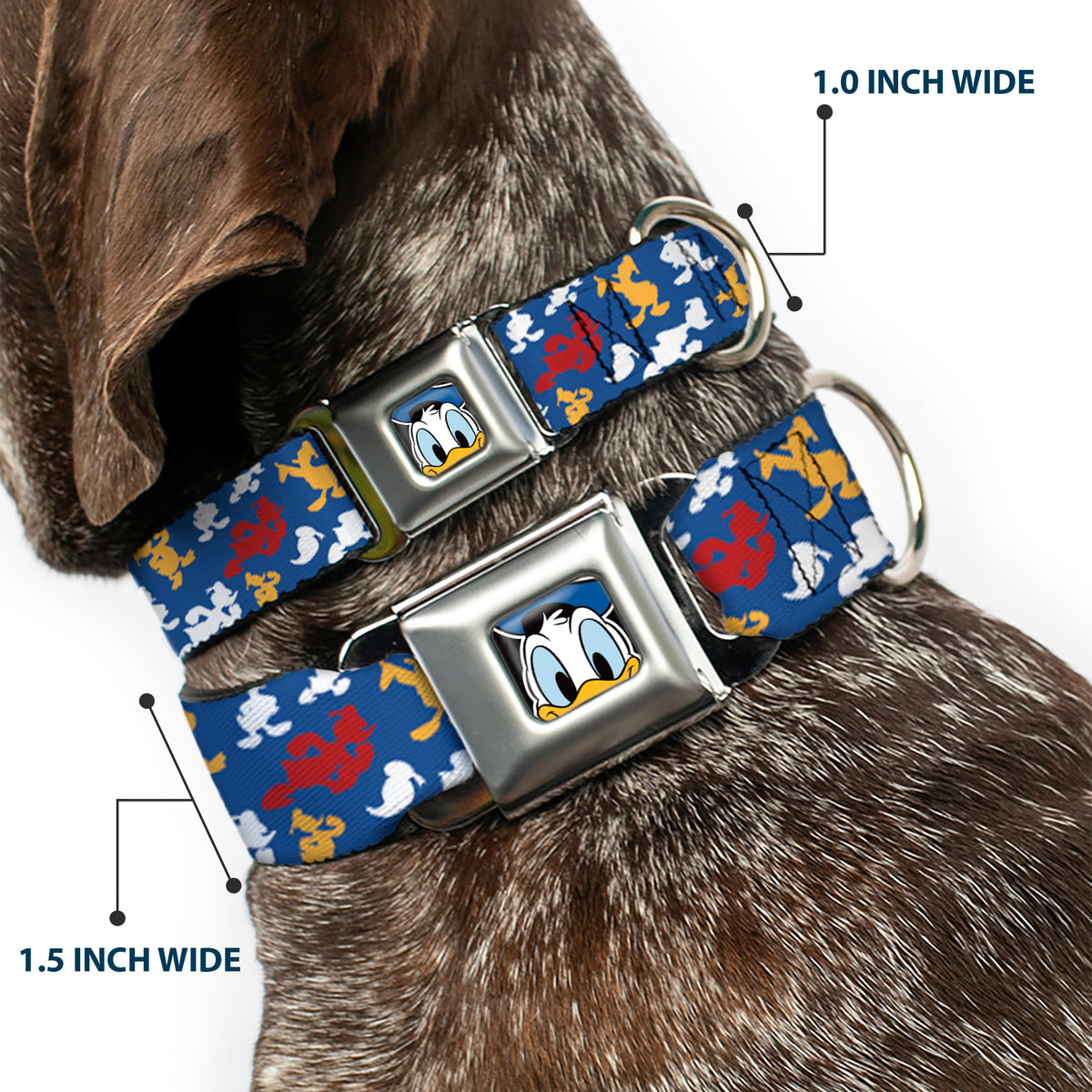 Donald Duck Face CLOSE-UP Full Color Seatbelt Buckle Collar - Donald Duck Face/Poses Scattered Blue/White/Red/Yellow Dog Collars Seatbelt Buckle Disney