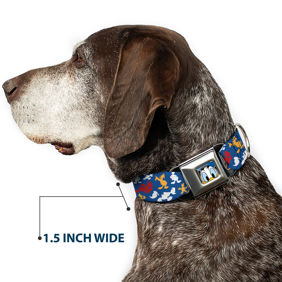 Donald Duck Face CLOSE-UP Full Color Seatbelt Buckle Collar - Donald Duck Face/Poses Scattered Blue/White/Red/Yellow Dog Collars Seatbelt Buckle Disney