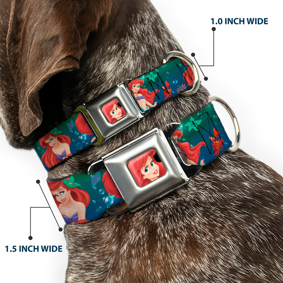Ariel CLOSE-UP Full Color Seatbelt Buckle Collar - Ariel Poses w/Flounder Green/Blue Fade Dog Collars Seatbelt Buckle Disney