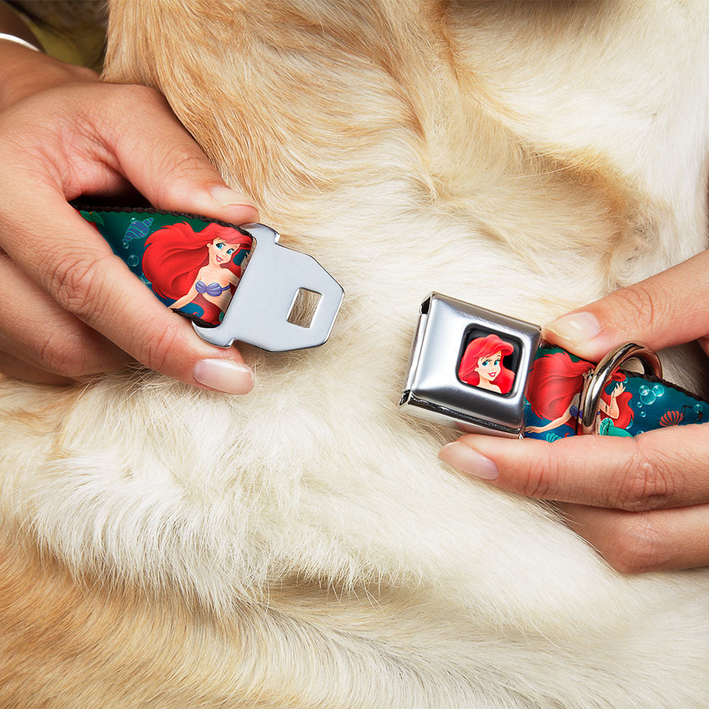 Ariel CLOSE-UP Full Color Seatbelt Buckle Collar - Ariel Poses w/Flounder Green/Blue Fade Dog Collars Seatbelt Buckle Disney
