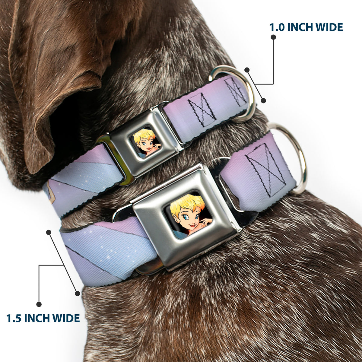 Tinker Bell CLOSE-UP Full Color Seatbelt Buckle Collar - Tinker Bell Poses Purple/Pink Fade Dog Collars Seatbelt Buckle Disney