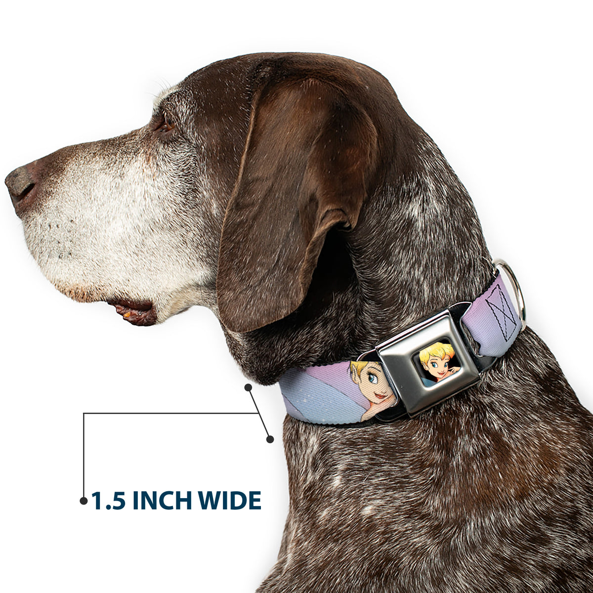 Tinker Bell CLOSE-UP Full Color Seatbelt Buckle Collar - Tinker Bell Poses Purple/Pink Fade Dog Collars Seatbelt Buckle Disney